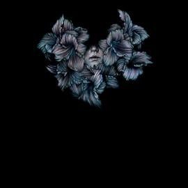 Lot Like Birds - Divisi (Vinyl)