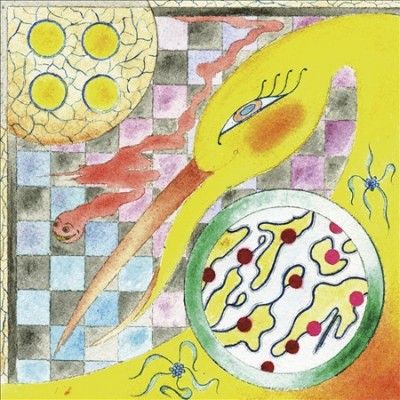 Wand - Perfume (Vinyl)