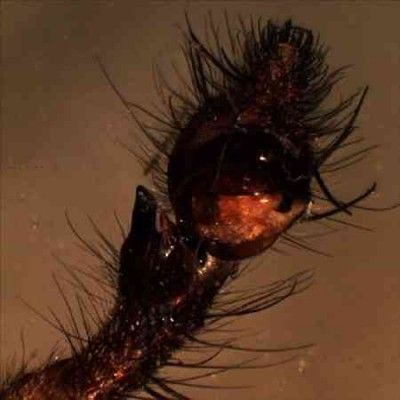 Helm - We Will Meet At Other Human Parties (Vinyl)
