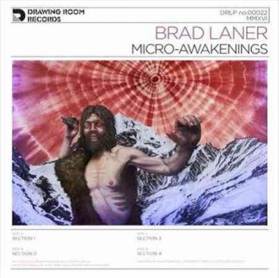 Brad Laner - Micro Awakenings (Vinyl)