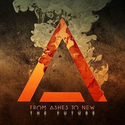 The Future (Vinyl / 12" Album)