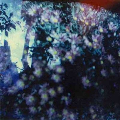 Is And Of The - Heads Phased For Dreamless Sleep (CD)