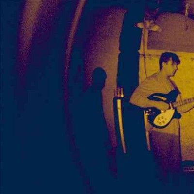 Real Numbers - Wordless Wonder (Vinyl)