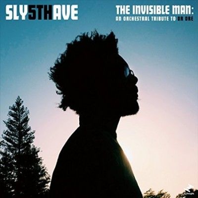 The Invisible Man (Vinyl / 12" Album)