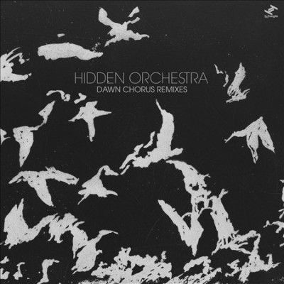 Hidden Orchestra - Dawn Chorus Remixes (Vinyl)