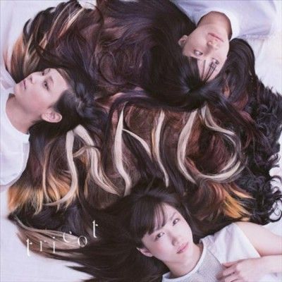 Tricot - And (Vinyl)