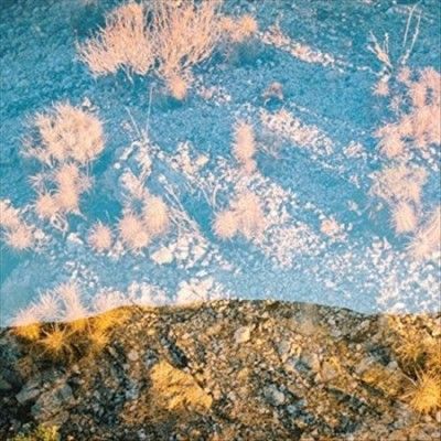 Earth Loop (Vinyl / 12" Album)