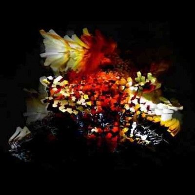 Bogus Order - Bullnose Step (Vinyl)