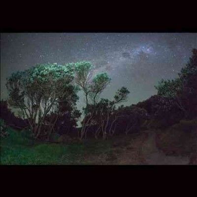 Esben And The Witch - Older Terrors (CD)