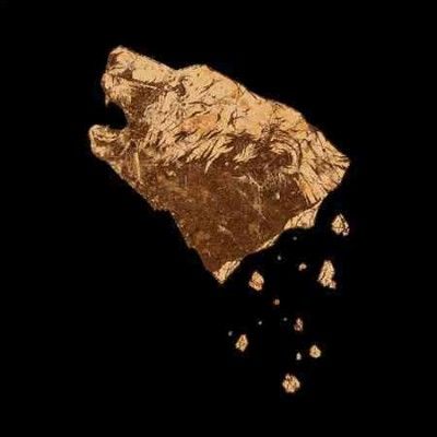 Crippled Black Phoen - Bronze (CD)