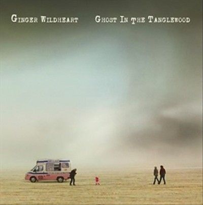 Ghost in the Tanglewood (Vinyl / 12" Album)