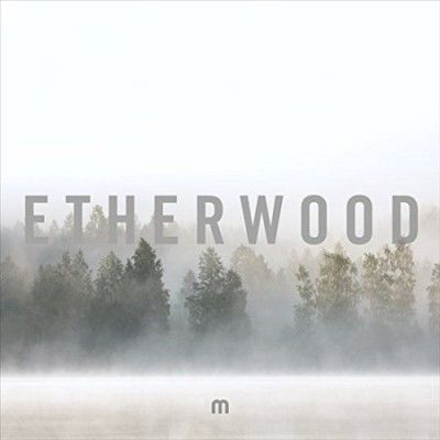 In Stillness (Vinyl / 12" Album Box Set)