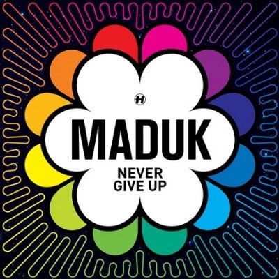 Never Give Up (Vinyl / 12" Album)