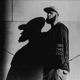 Homeboy Sandman - Veins (Vinyl)