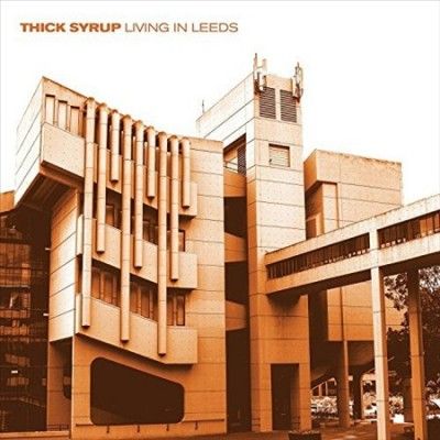Living in Leeds (Vinyl / 12" Album Coloured Vinyl (Limited Edition))