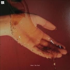 You Tried (Vinyl / 12" Album)