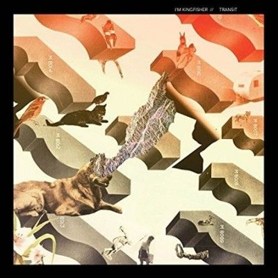 I'm Kingfisher - Transit (Vinyl)