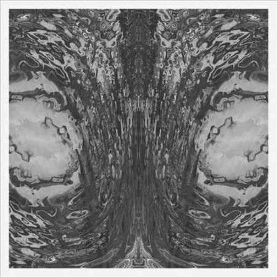 The Capsule (Vinyl / 12" Album)