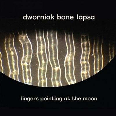 Fingers Pointing at the Moon (Vinyl / 12" Album)