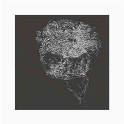 David Toop - Entities Inertias Faint Beings (Vinyl)
