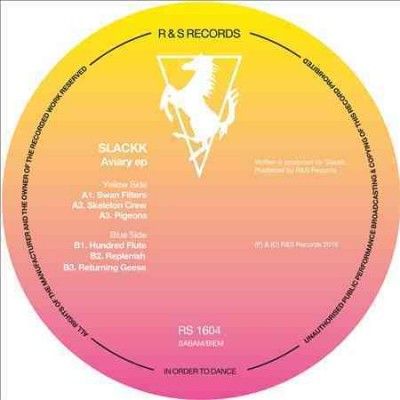 Slackk - Aviary Ep (Vinyl)