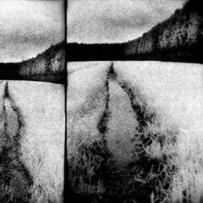 The Cut (Vinyl / 12" Album)