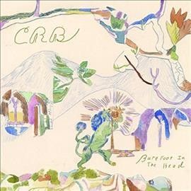Chris Brot Robinson - Barefoot In The Head (Vinyl)