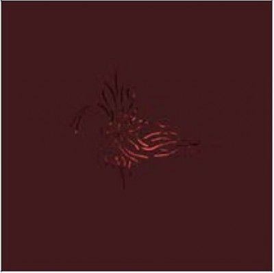 We Like We - Next To The Entire All (Vinyl)
