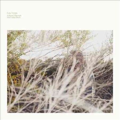 Luke Temple - Hand Through The Cellar Door (Vinyl)