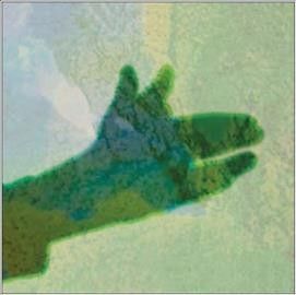 Native Instrument - Camo (Vinyl)