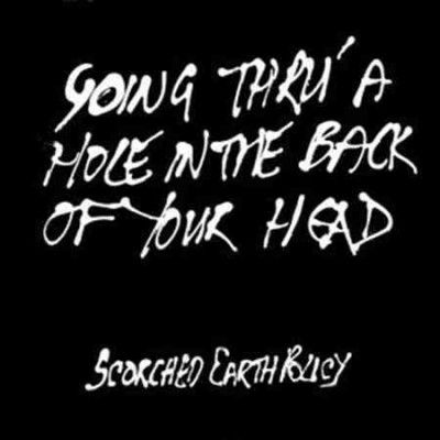 Scorched Earth Polic - Going Thru A Hole In The Back Of Your (Vinyl)