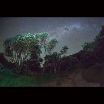 Esben And The Witch - Older Terrors (Vinyl)