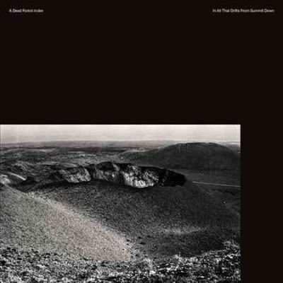 Dead Forest Index - In All That Drifts From Summit Down (Vinyl)