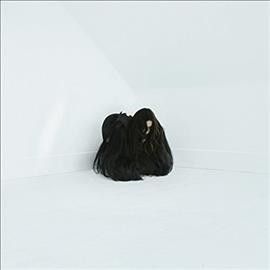 Chelsea Wolfe - Hiss Spun (Vinyl)