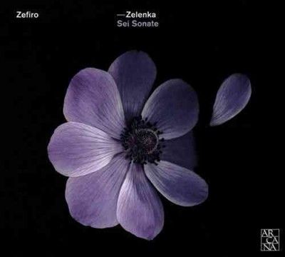 Zelenka: Sei Sonate, ZWV181 (CD / Album)