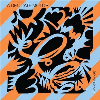 Delicate Motor - Fellover My Own (CD)
