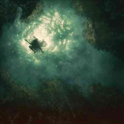 Braids - Companion (CD)