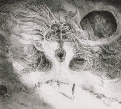 Into the Void of Human Vacuity (CD / Album)