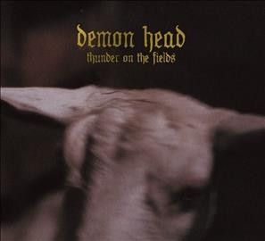 Thunder On the Fields (CD / Album)