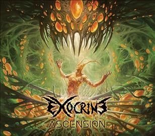 Ascension (CD / Album)