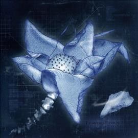 Counter - World Experi - Leaving Lotus (CD)