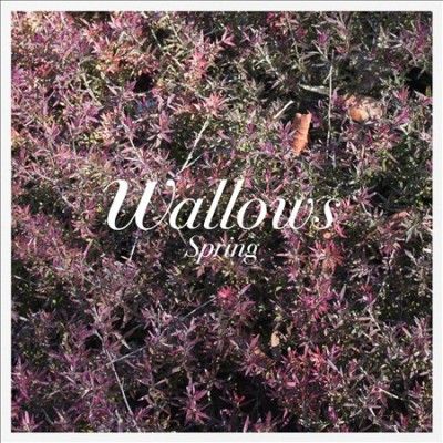 Wallows - Spring Ep (pink &amp; Green) (Vinyl)