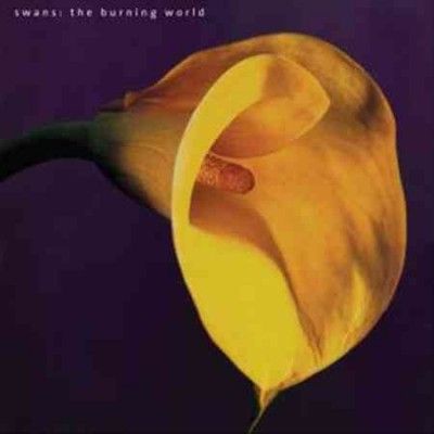 Swans - Burning World (Vinyl)