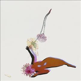 The Far Field (Vinyl / 12" Album)