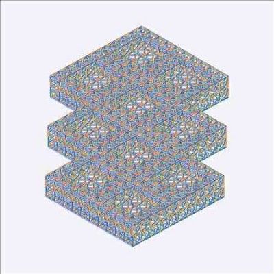 Visible Cloaks - Reassemblage (Vinyl)