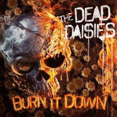 Burn It Down (Vinyl / 12" Album with CD)