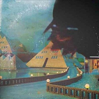 Vinyl Williams - Brunei (Vinyl)