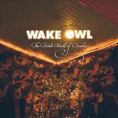 Wake Owl - Private World Of (Vinyl)