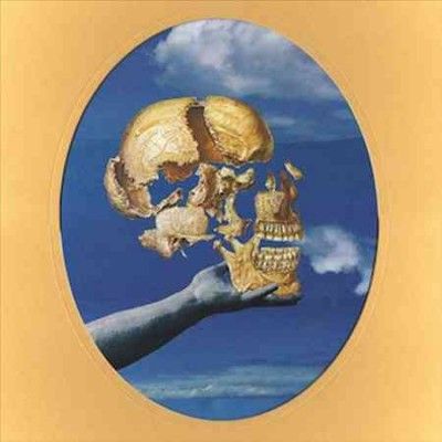 Sun Angle - Skullflower (Vinyl)