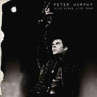 Peter Murphy - Wild Birds Live Tour (Vinyl)